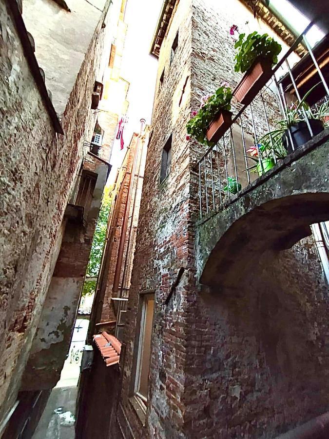 Piazza Napoleone Sweet Apartment ลุคคา ภายนอก รูปภาพ